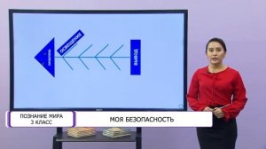 Познание мира. 3 класс. Моя безопасность /20.01.2021/