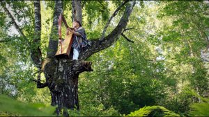 Alizbar & Alex Samodum - Waltz On The Branches / Вальс на ветвях/Altai/ Celtic harp / Кельтская арфа