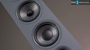 Focal Chora 816. Inexpensive but musical French floor speakers.
