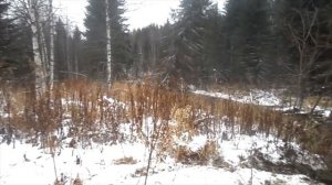 МОНСТРЫ БЕЗДОРОЖЬЯ | ЛЕГЕНДЫ СОВЕТСКОГО АВТОПРОМА «ЗИЛ» И «УРАЛ» НА БЕЗДОРОЖЬЕ