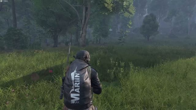 ПРЕСЛЕДОВАНИЕ ГРАБИТЕЛЕЙ в ЛЕСАХ ЛИВОНИИ. РЕЙД ЛЕСНОЙ БАЗЫ - DayZ смотреть онлайн