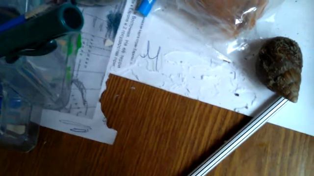 Сбежала улитка смотреть онлайн