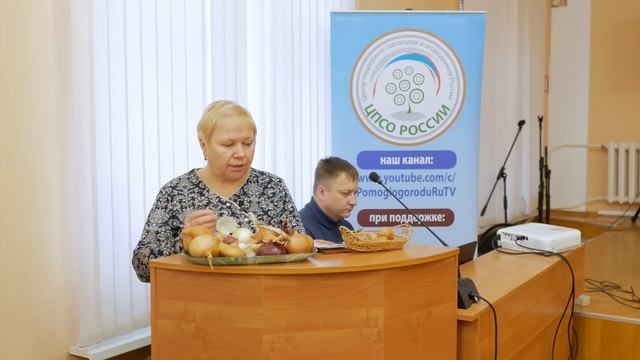Выращивание репчатого лука.