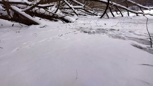 Норка на речке