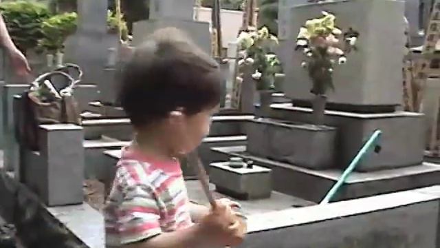 A Visit to the Grave of Mikio Naruse смотреть онлайн