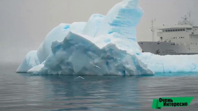 Топ интересных фактов об АНТАРКТИДЕ. Самый холодный континент. Путешествие на край земли смотреть онлайн