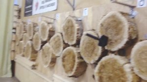 Метание саперной лопатки из разных положений. Самых разных положений.