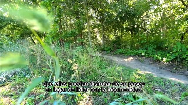 Skye Trek Bicycle смотреть онлайн