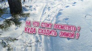 НА ЧТО СТОИТ ПОСМОТРЕТЬ | КУДА СХОДИТЬ ЗИМОЙ