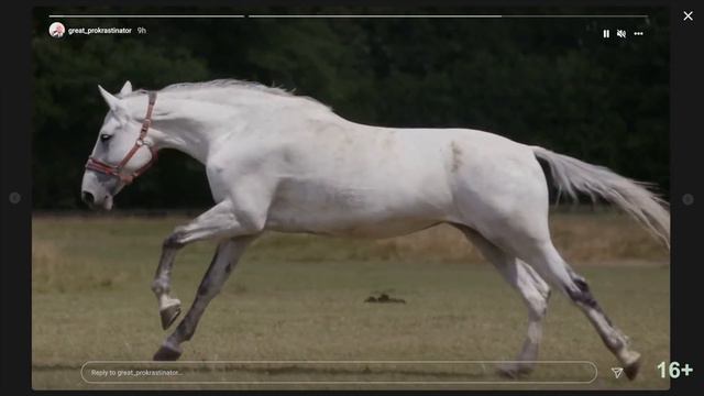 Семь Грехов Интернета. Лень смотреть онлайн