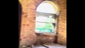 Усадьба Елисеевых. Белогорка, Гатчинский район, Ленинградская область