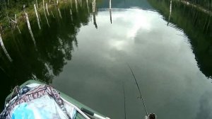 Блесна ЦАРЬ - РЫБА вертушка из Красноярска хорошая блесна на щуку