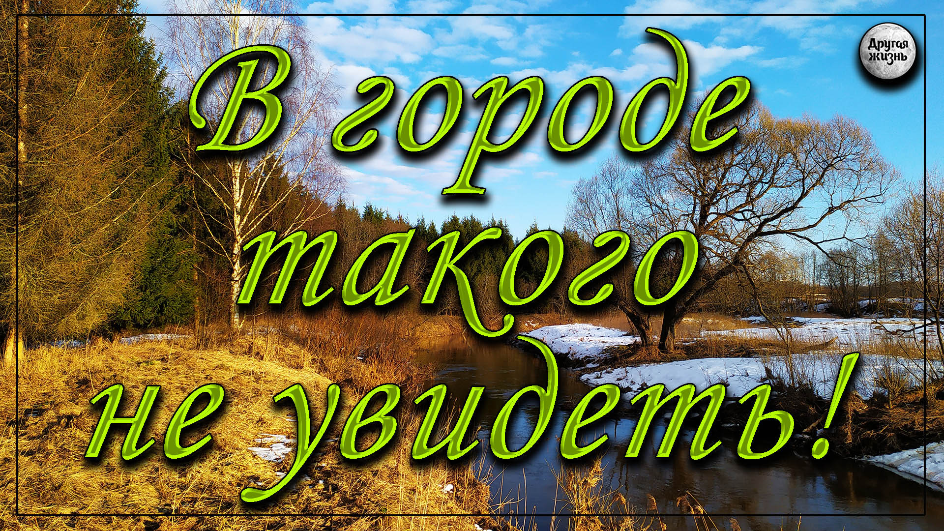 В городе такого не увидеть!