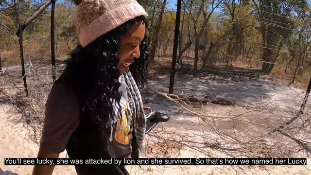 To the heart of ZIMBABWE [S5 - Eps. 77] смотреть онлайн