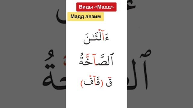 Мадд лязим