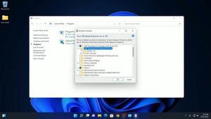 How to Enable .NET Framework 4.8 on Windows 11