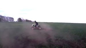 квадрик ирбис 250 куб п.Волово