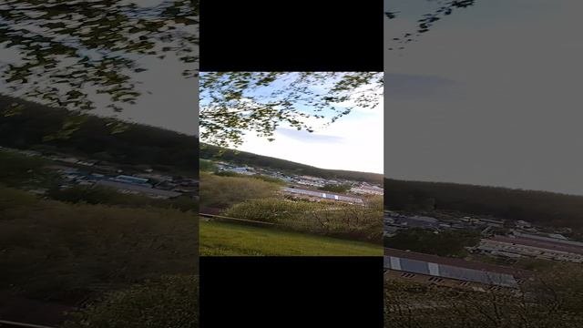 Палена