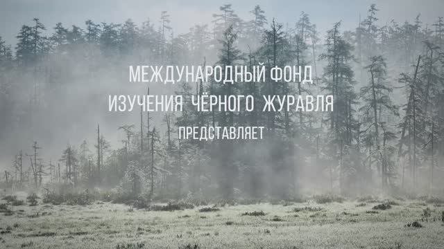Фонд представляет.