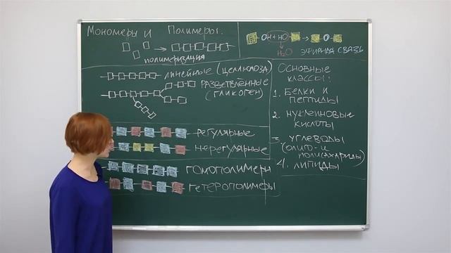 Органические соединения.  Мономеры, полимеры