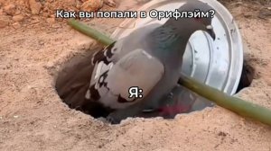 Оп,и я уже там😉