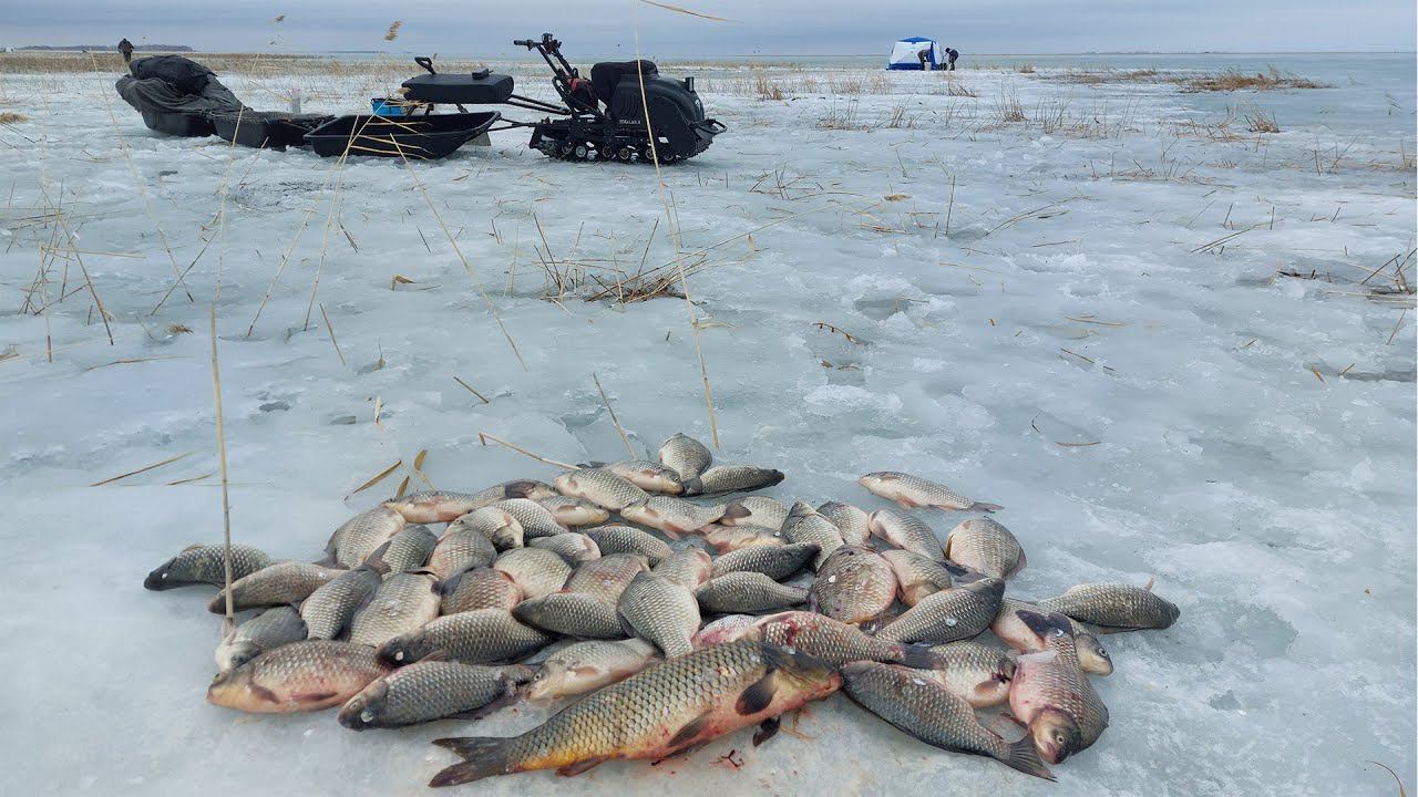 ВЕСЕННЯЯ РЫБАЛКА С НОЧЕВОЙ УДАЛАСЬ! САЗАН, КАРАСЬ НА МОРМЫШКУ смотреть онлайн