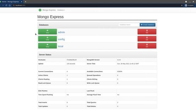 MongoDB #2 | MongoDB With MongoExpress NodeJS on Docker Container