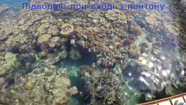 Jaz Grand Marsa 5* (Египет, Марса Алам) смотреть онлайн