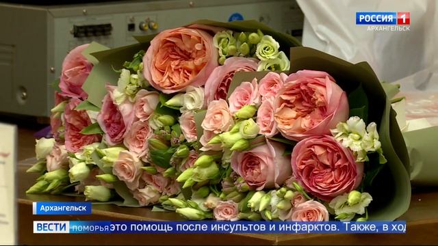 В Поморье подвели итоги работы проекта "Служба помощи" Красного Креста смотреть онлайн