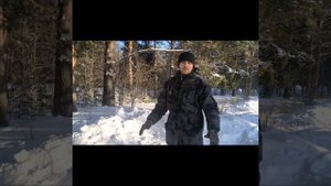 что делать если встретил медведя