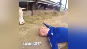 мужик танцует на куче говна оригинал Vs моя версия