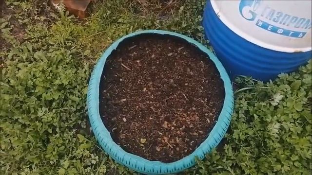 Влог/Всех С праздником/1 мая 2023/Погода всё ещё шепчет.../Обзор участка/всё в воде/Что сделала/ смотреть онлайн