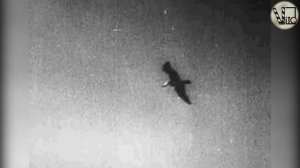 Кто изобрёл КИНО? История кинематографа