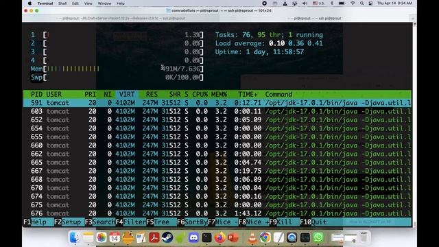 How to make an RLCraft Server on Raspberry Pi! смотреть онлайн