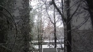 первый снег в моем городе как красиво выпал снег 19 11 2017