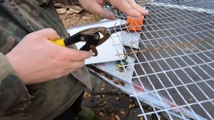 шпар чан для всех типов птиц за 10 минут бизнес на курах