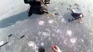 10.04.2022 Зимняя рыбалка на окуня оз. Песчаное, с. Алексеевка, Бурлинский район, Алтайский край