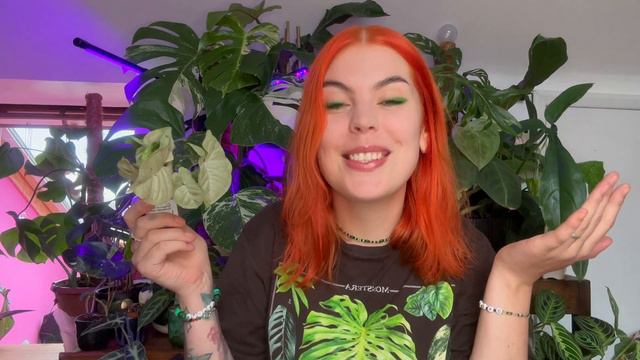 Small plant haul from Plantsforallseasons смотреть онлайн