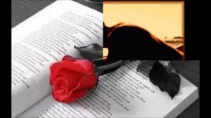 POESIA - Riccardo Cocciante