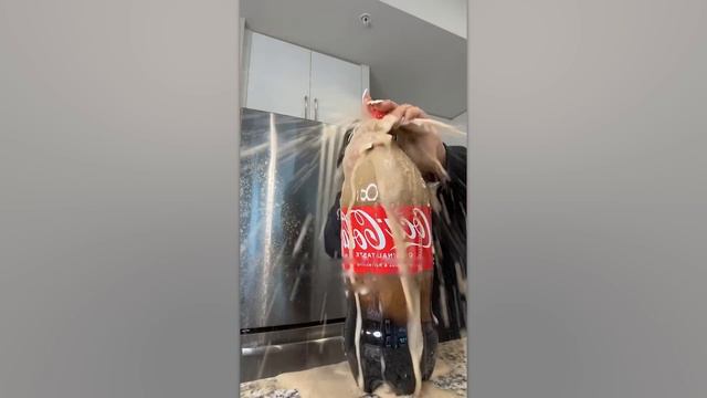 Самые Глупые Поступки Людей, Снятые на Камеру