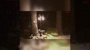Людмила Руднева и Светлана Фатихова Снегопад, снегопад... не мети мне на косы
