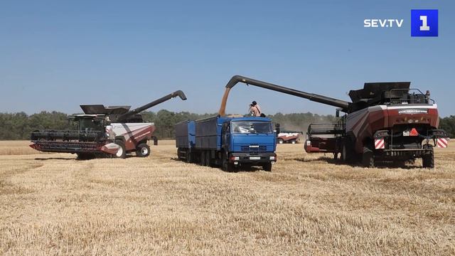 В Ростовской области началас уборочная кампания
