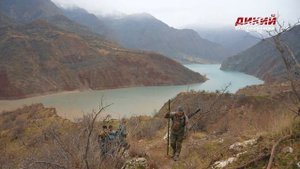 В Таджикистан за бухарским уриалом. Горная охота Эдуарда Бендерского.