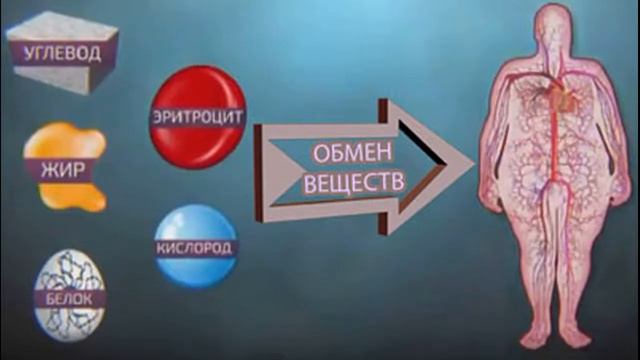 Что будет если съесть много чипсов!? смотреть онлайн