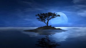 Озеро Остров и Одинокое Дерево в Свете Луны | Lake Island Tree and Moon - Живые Обои