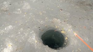 Зимняя рыбалка. Маныч. Веселовское Водохранилище (ВВ) Бугры. Рыба утащила удочку в лунку