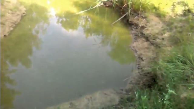 ПРУД ВЫКОПАННЫЙ ЛОПАТОЙ. Обзор 1-2 июля 2017. Сбор дождевой воды. смотреть онлайн