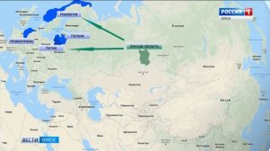 Отправка рапсового масла в Китай