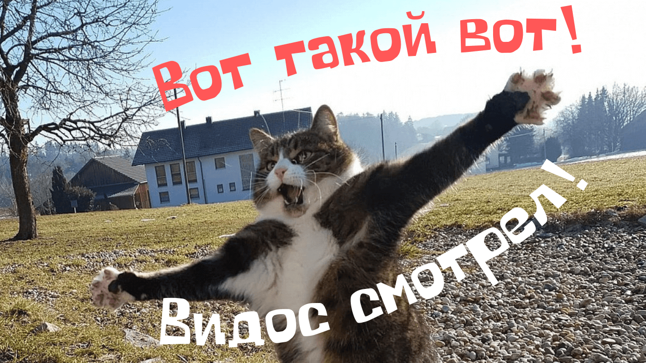 Вот такой вот видос смотрел!