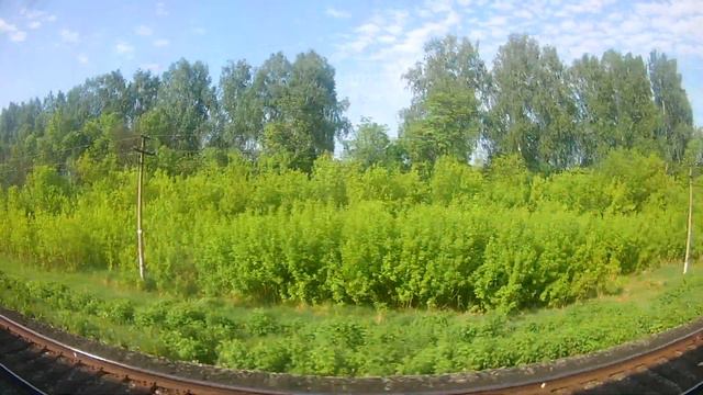 Вид из окна поезда - Природа Татарстана. (Ютазинский р-н, Татарстан)